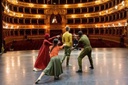 Teatro Massimo_balletto.jpg