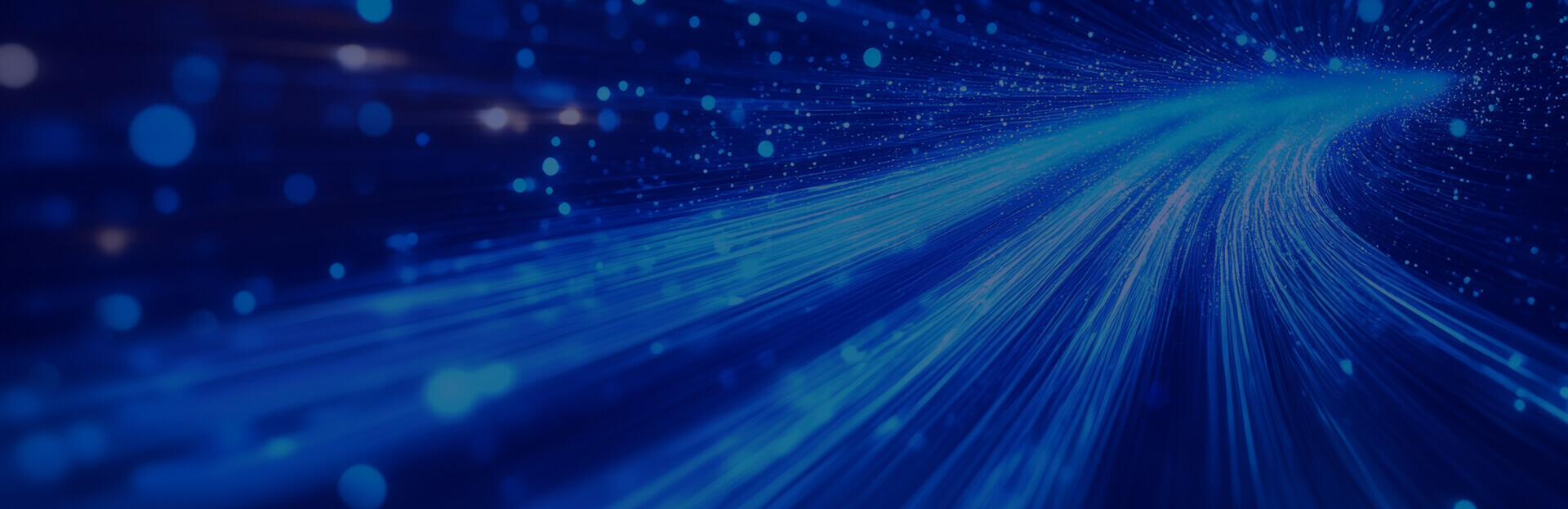 Oltre 6.000 km per collegamenti dedicati in fibra ottica